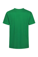 Duży męski T-shirt Premium-T Promodoro Kelly Green – zielony