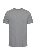 Duży męski T-shirt Premium-T Promodoro Sports grey – szary melanż