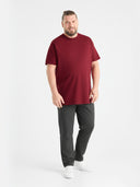 Zestaw duże spodnie dresowe bawełniane RORY szare i męski bawełniany T-shirt FLYERS D555 czerwony